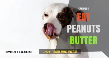 Peanut Butter for Pooches: A Nutty Treat or a No-No?