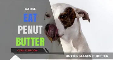 Peanut Butter for Pooches: A Nutritious Treat or a No-No?