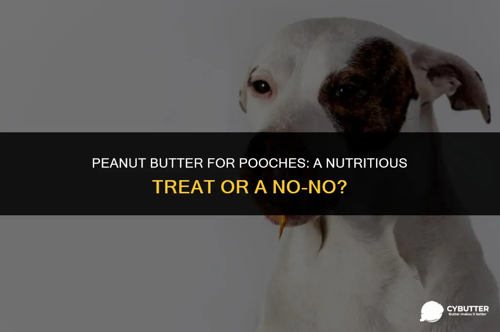 can dogs eat penut butter
