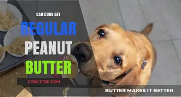 Can Dogs Enjoy Regular Peanut Butter? A Nutty Debate