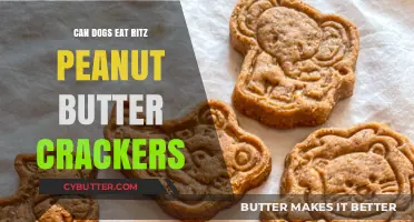 Can Dogs Enjoy Ritz Peanut Butter Crackers? A Tasty Treat or Not?