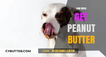 Can Dogs Safely Enjoy Peanut Butter? A Complete Guide