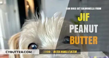 Can Dogs Safely Eat Jif Peanut Butter? Salmonella Risks Explained