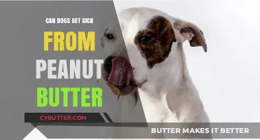 Can Peanut Butter Harm Dogs? Understanding the Risks and Benefits