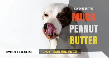 Peanut Butter Overload: How Much is Too Much for Dogs?