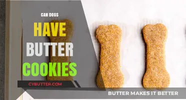 Can Dogs Indulge in Butter Cookies? A Tasty Treat or a No-No?