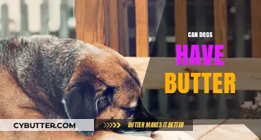Can Dogs Have Butter? A Comprehensive Guide for Pet Owners