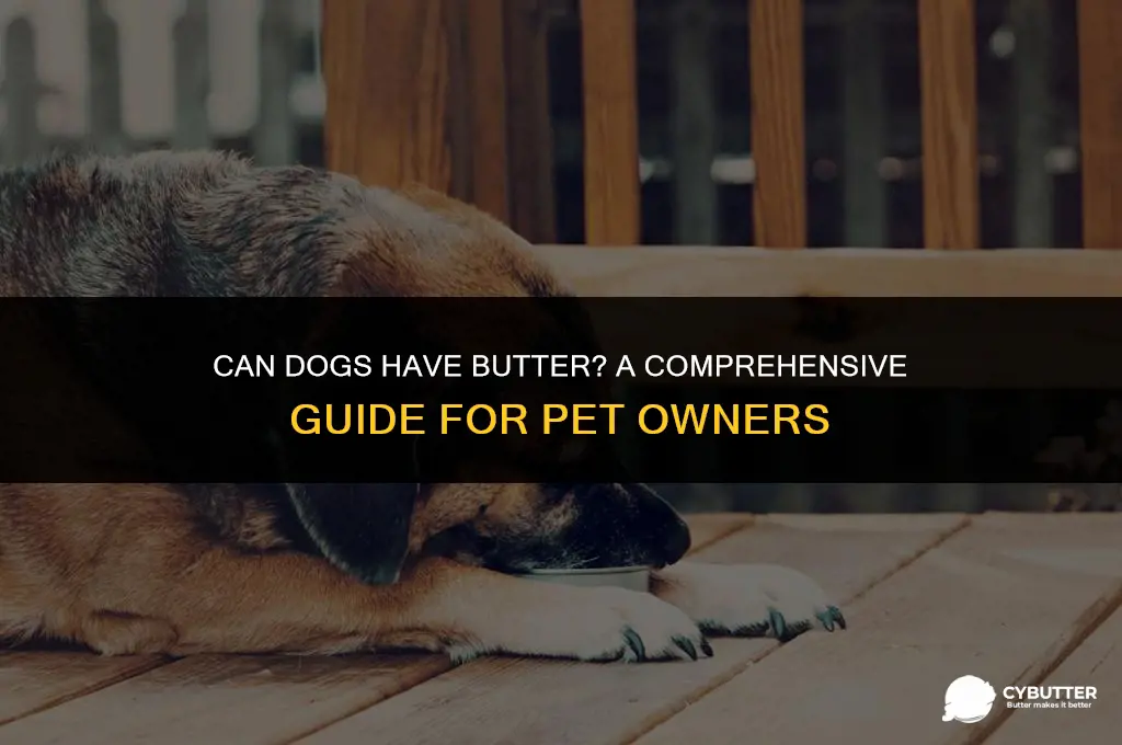 can dogs have butter