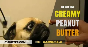 Can Dogs Enjoy Creamy Peanut Butter? A Nutty Debate