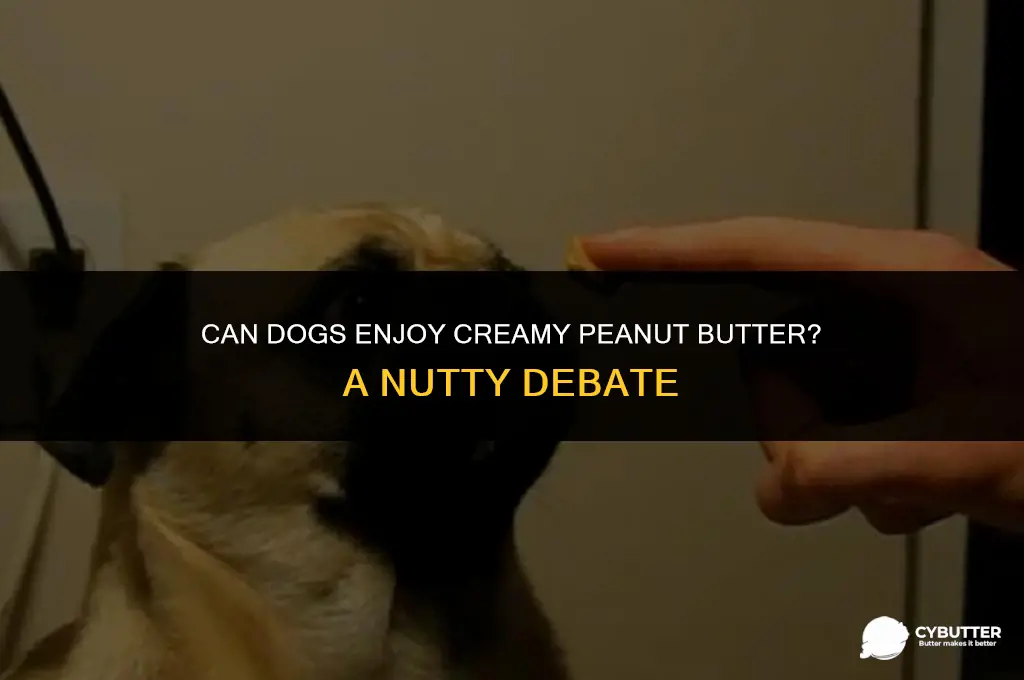 can dogs have creamy peanut butter