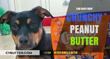 Crunchy Peanut Butter for Dogs: A Nutty Debate