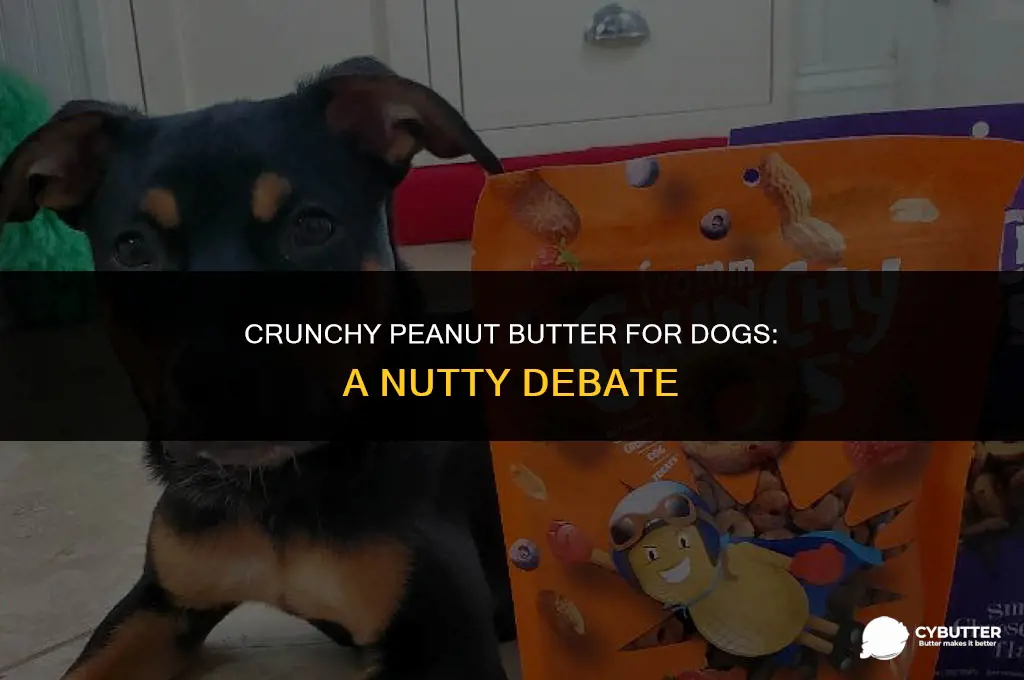 can dogs have crunchy peanut butter