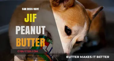 Peanut Butter for Pooches: Is Jif Safe for Dogs?
