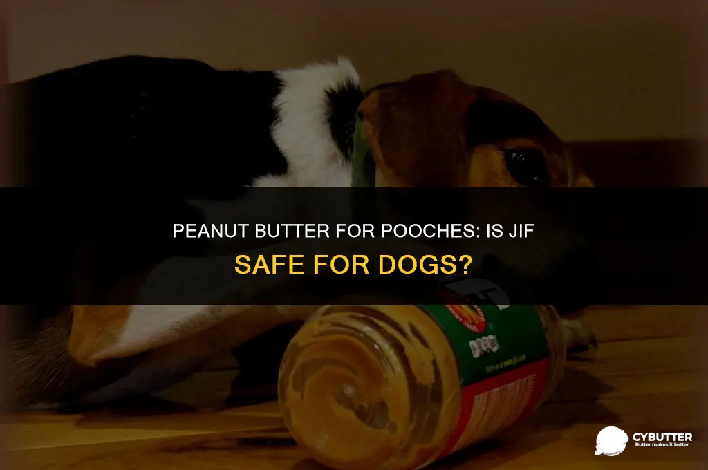 can dogs have jif peanut butter