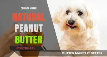 Can Dogs Enjoy Natural Peanut Butter? A Tasty Treat or Health Hazard?