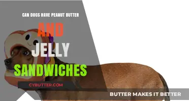 Peanut Butter and Jelly Delight: A Canine's Dream or Nightmare?