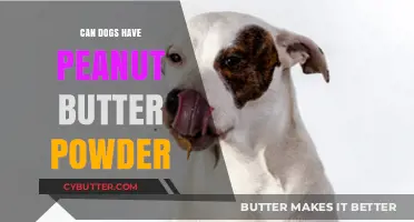 Peanut Butter Powder for Dogs: A Nutritious Treat or a No-No?