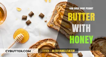 Sweet and Nutty Treats: Can Dogs Enjoy Peanut Butter with Honey?