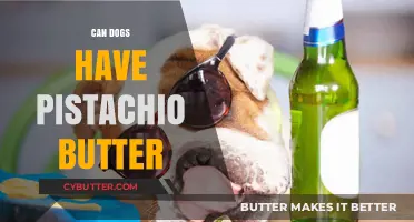 Pistachio Butter for Dogs: A Nutty Treat or a No-No?