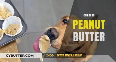 Can Dogs Eat Peanut Butter? A Comprehensive Guide for Pet Owners