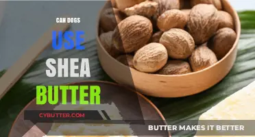 Nature's Moisturizer: Is Shea Butter Safe for Your Canine Companion?