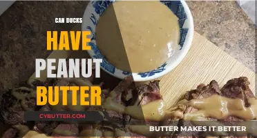 Can Ducks Indulge in Peanut Butter? A Nutty Inquiry