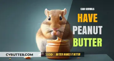 Peanut Butter for Gerbils: A Nutritious Treat or a Hazard?
