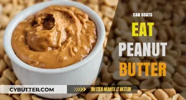 Peanut Butter for Goats: A Nutty Treat or a No-Go?