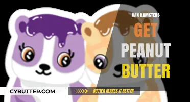 Can Hamsters Safely Enjoy Peanut Butter? A Complete Guide
