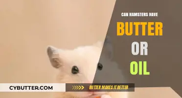 Can Hamsters Have Butter or Oil? A Comprehensive Guide