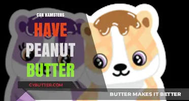 Peanut Butter for Hamsters: A Nutritious Treat or a No-No?