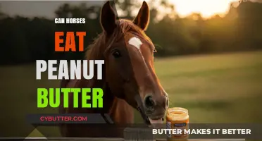 Peanut Butter for Horses: A Nutty Treat or a No-Go?