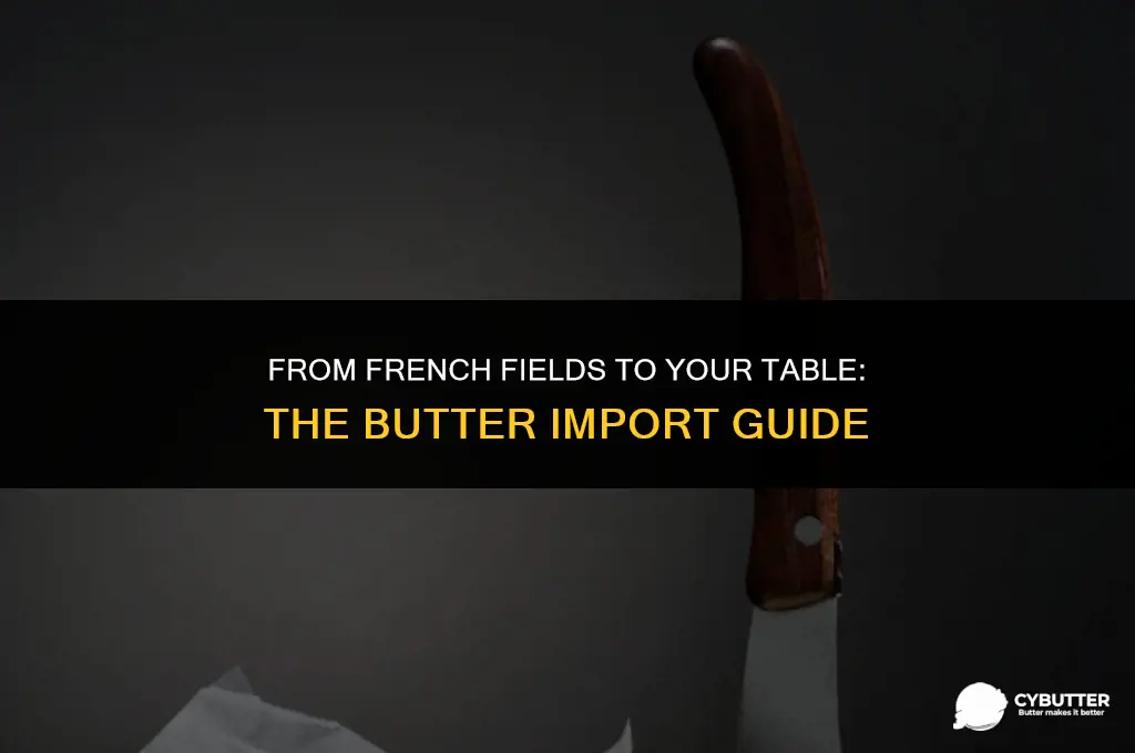 can i bring butter from france to us
