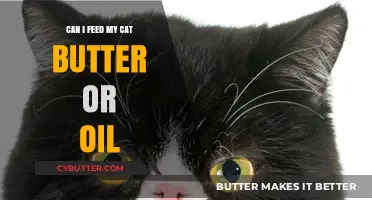 Feline Nutrition: The Truth About Butter and Oil in Your Cat's Diet