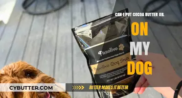 Can Cocoa Butter Oil Benefit Your Dog's Skin and Coat?