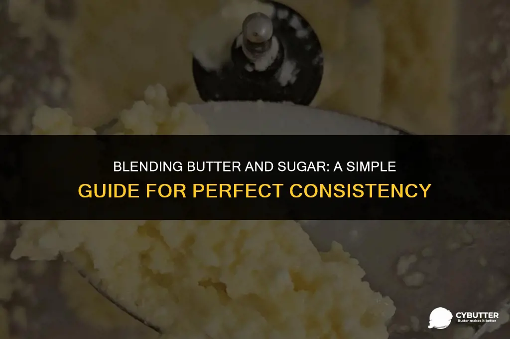 can i use a blender to cream butter and sugar