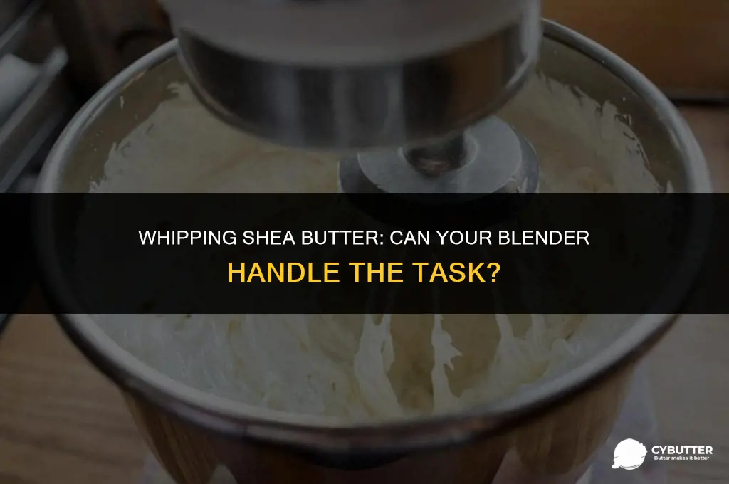 can i use a blender to whip shea butter