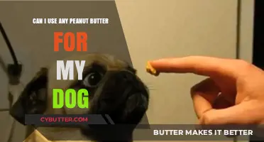 Peanut Butter for Dogs: Safe or Unsafe?