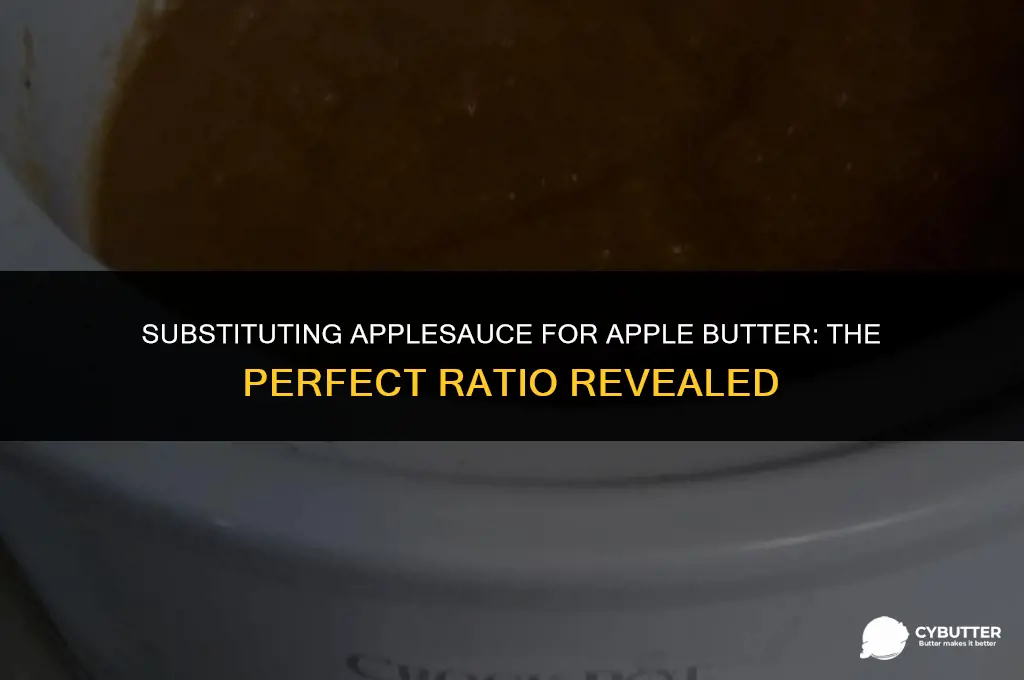 can i use applesauce instead of apple butter ratio