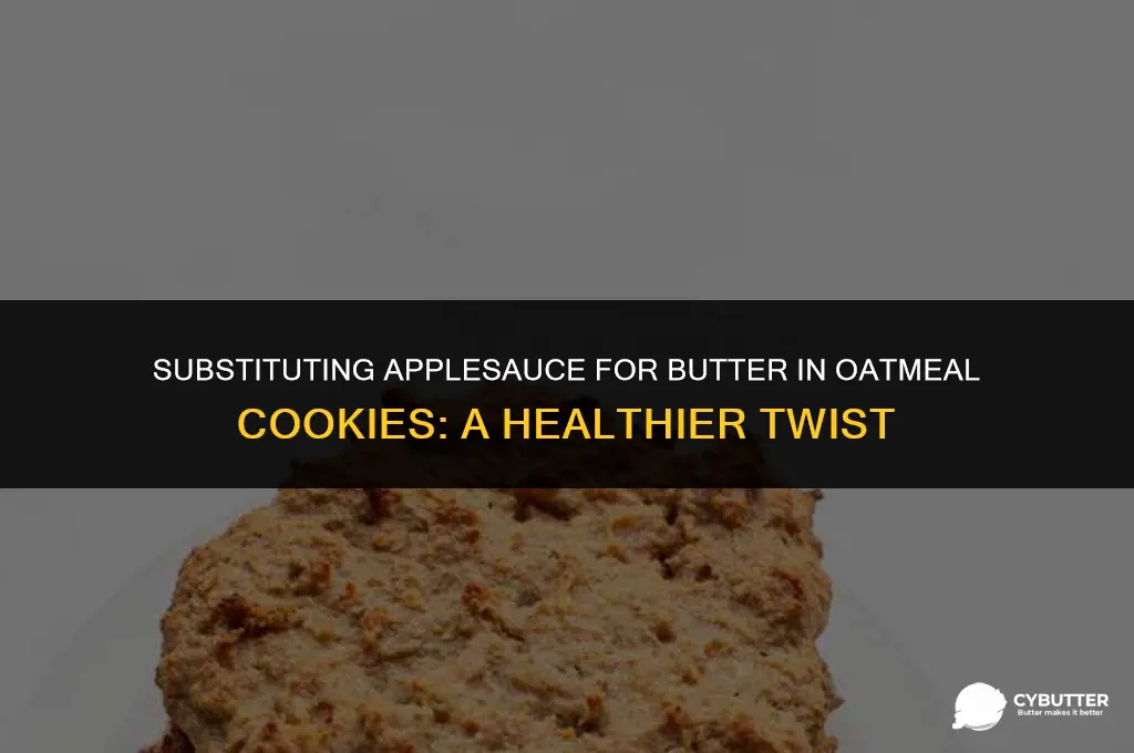 can i use applesauce instead of butter for oatmeal cookies