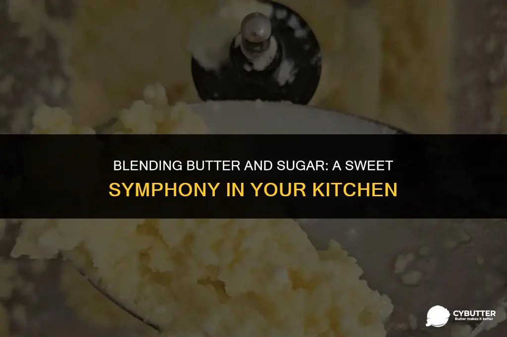can i use blender to mix butter and sugar
