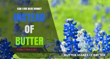 Blue Bonnet vs Butter: A Dairy-Free Baking Substitute Guide