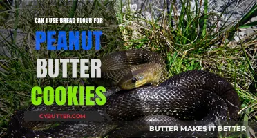 Swapping Bread Flour for Peanut Butter Cookies: A Baking Experiment