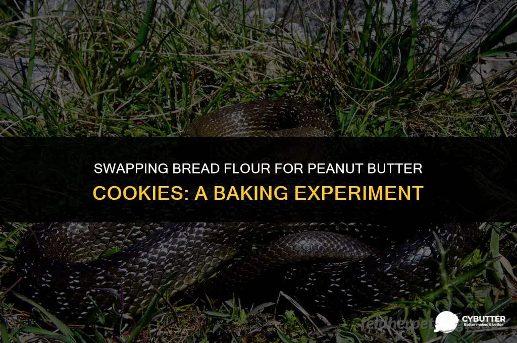 can i use bread flour for peanut butter cookies