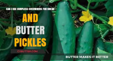 Crunchy Delight: Burpless Cucumbers in Bread and Butter Pickles