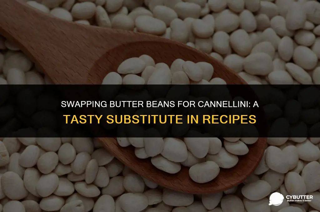 can i use butter beans instead of cannellini