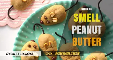The Peanut Butter Predicament: Can Mice Really Smell It?