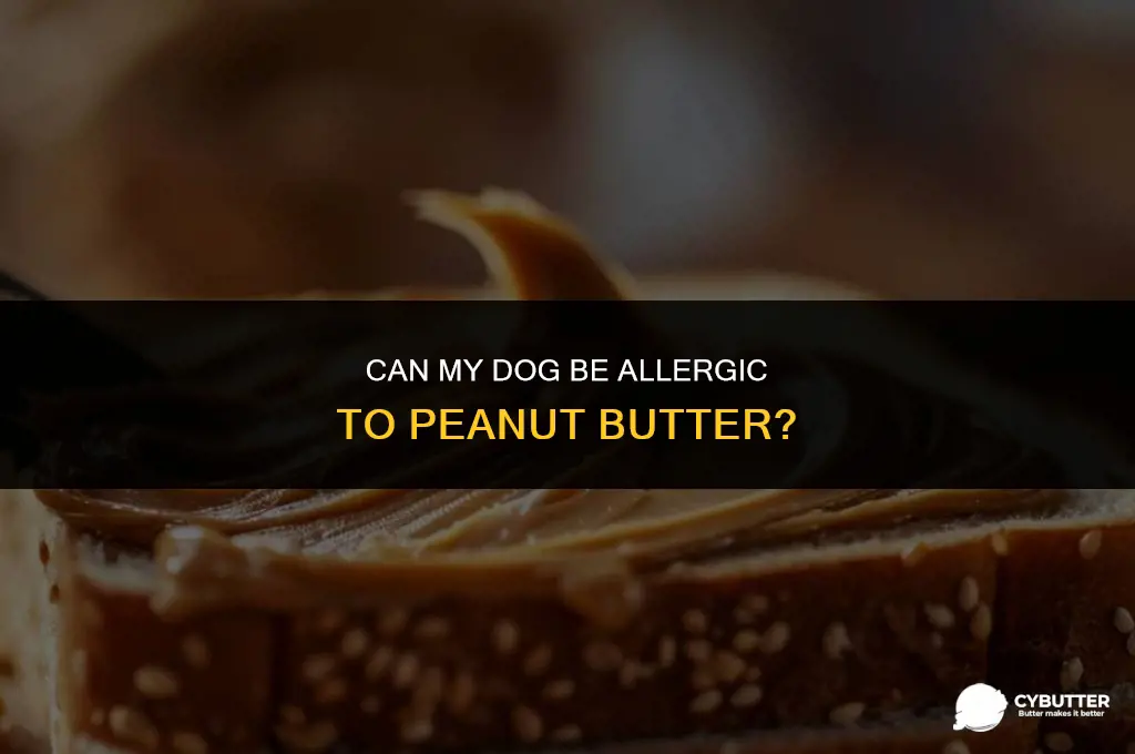 can my dog be allergic to peanut butter