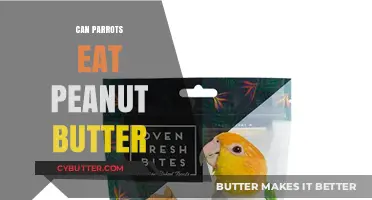 Peanut Butter for Parrots: A Nutritious Treat or a No-No?