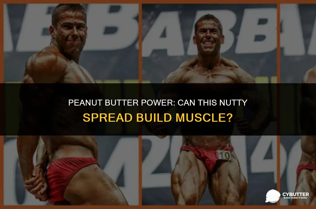 can peanut butter build muscle